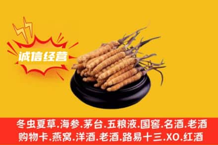 五家渠回收冬虫夏草
